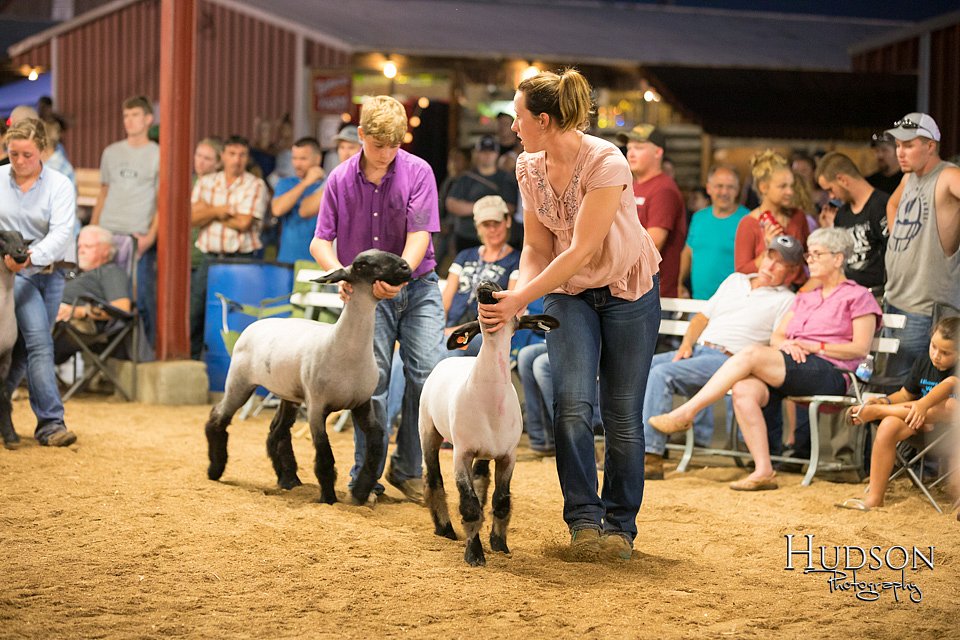 LCFAIR-081418-2836.jpg