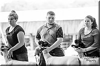 LCFAIR-081418-2254.jpg