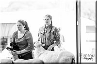 LCFAIR-081418-2256.jpg