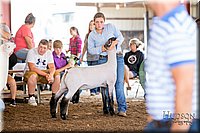 LCFAIR-081418-2272.jpg
