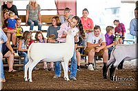 LCFAIR-081418-2277.jpg