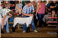 LCFAIR-081418-2284.jpg