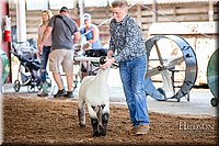 LCFAIR-081418-2301.jpg