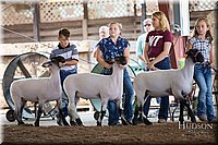 LCFAIR-081418-2340.jpg