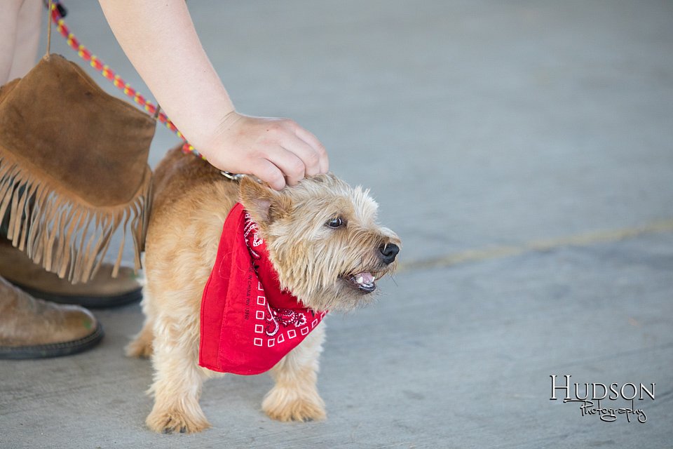 LCFAIR-081418-2493.jpg