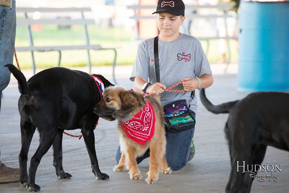 LCFAIR-081418-2538.jpg