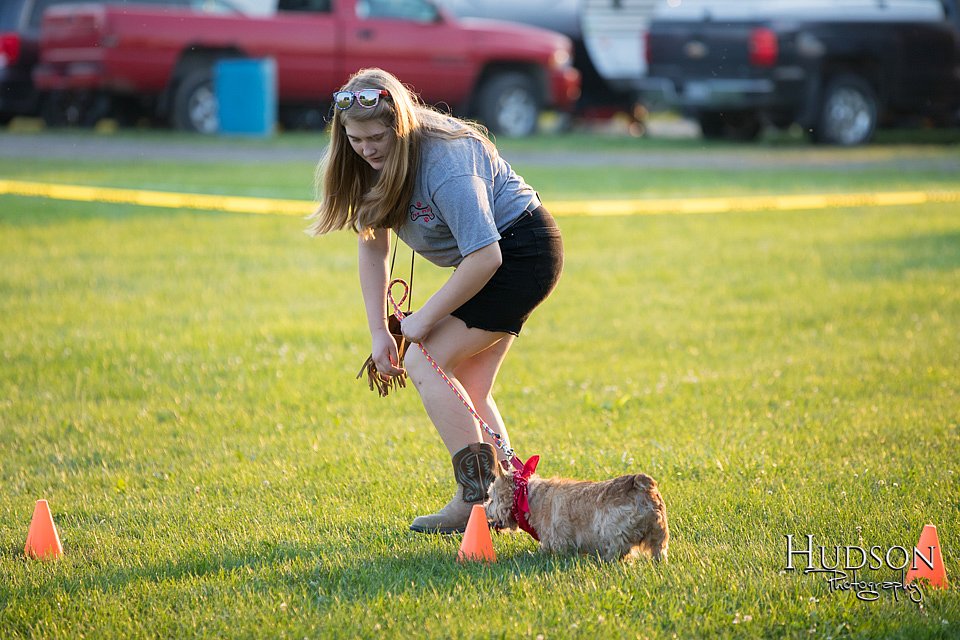 LCFAIR-081418-2604.jpg