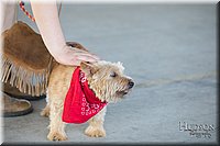 LCFAIR-081418-2492.jpg