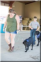 LCFAIR-081418-2576.jpg