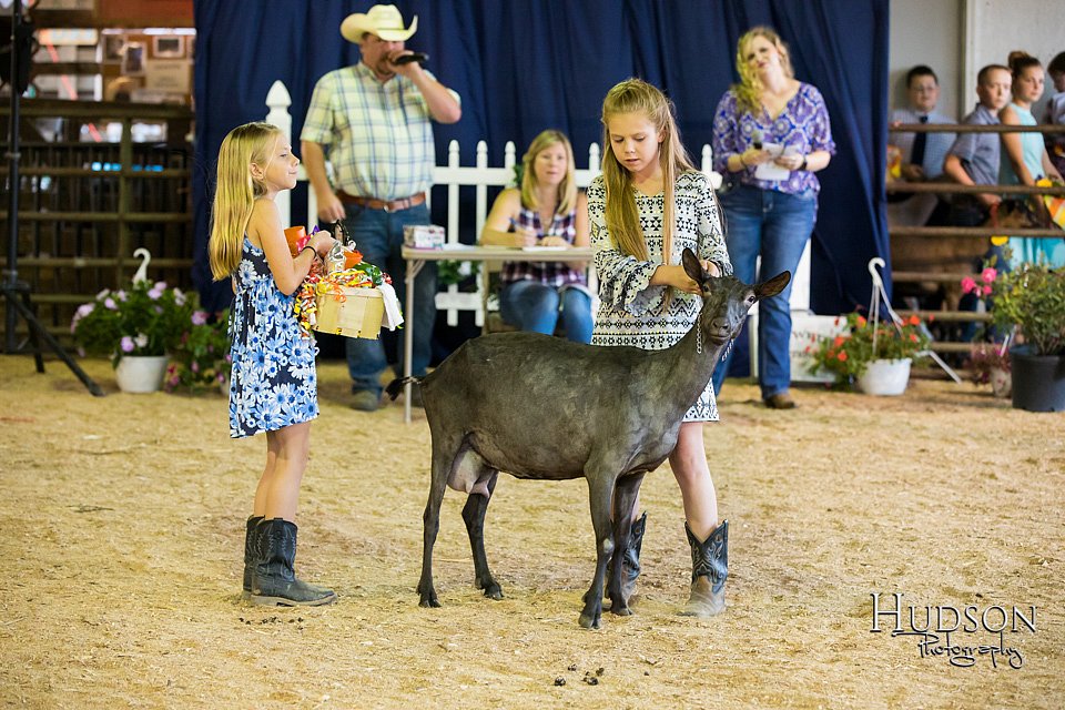 LCFAIR-081418-2671.jpg