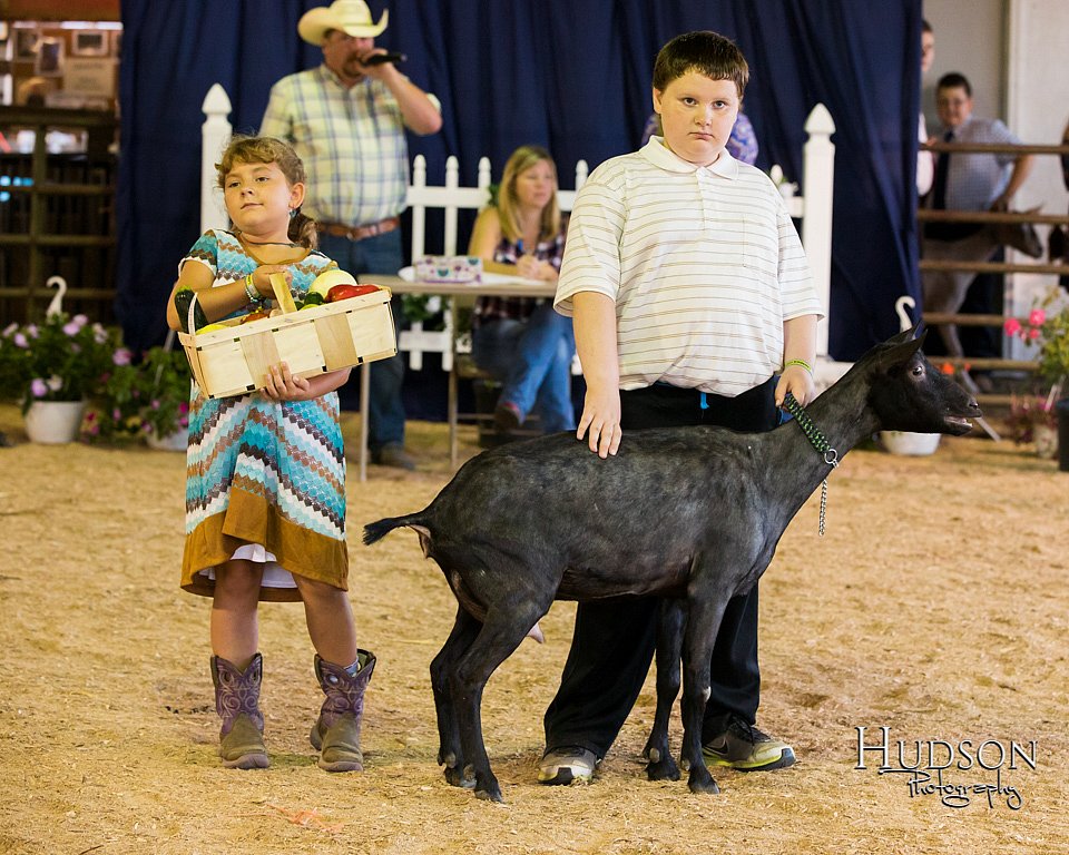 LCFAIR-081418-2704.jpg
