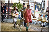 LCFAIR-081418-2618.jpg
