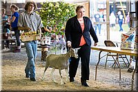 LCFAIR-081418-2638.jpg