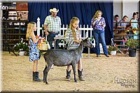 LCFAIR-081418-2666.jpg