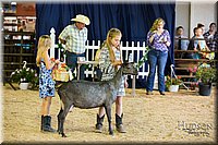 LCFAIR-081418-2670.jpg