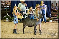 LCFAIR-081418-2676.jpg