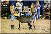 LCFAIR-081418-2680.jpg