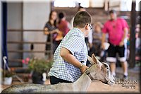 LCFAIR-081418-2775.jpg