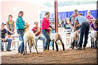 04-Lamb-Show