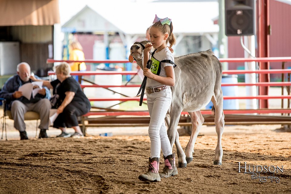 LCFAIR-081518-2926.jpg