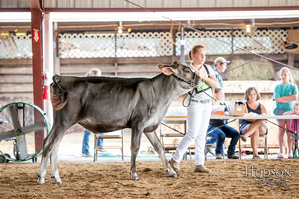 LCFAIR-081518-2941.jpg
