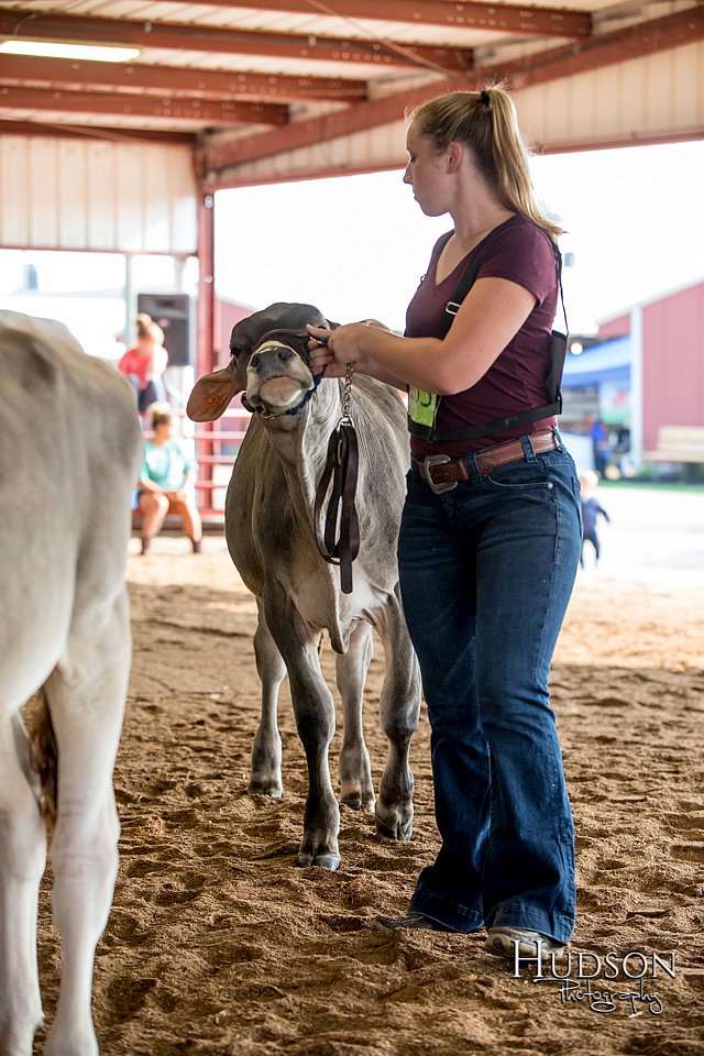 LCFAIR-081518-2944.jpg