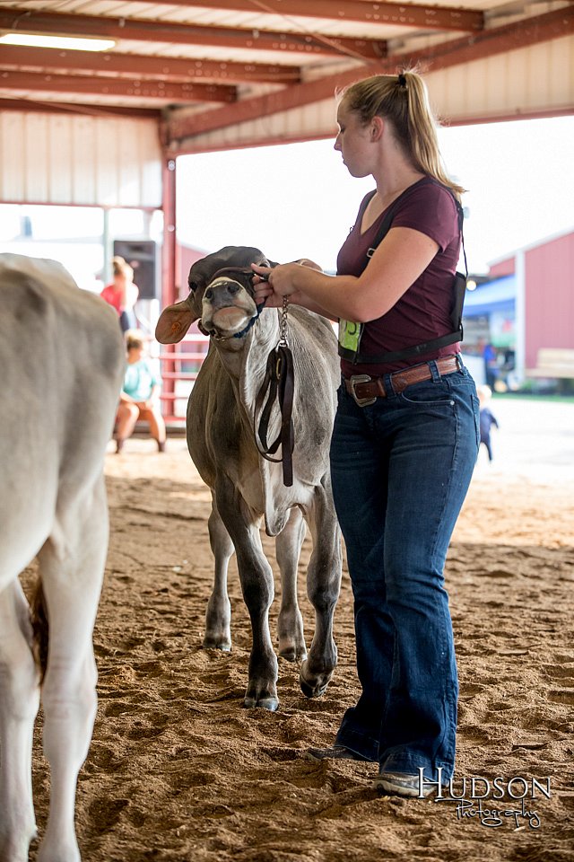LCFAIR-081518-2945.jpg