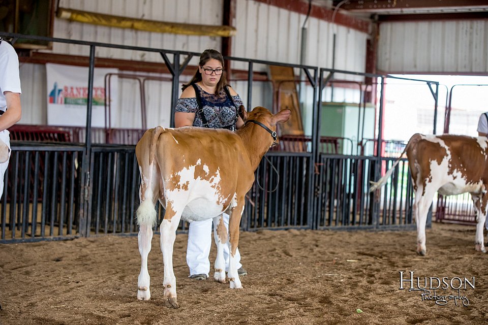 LCFAIR-081518-2961.jpg