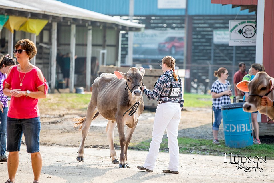 LCFAIR-081518-2982.jpg
