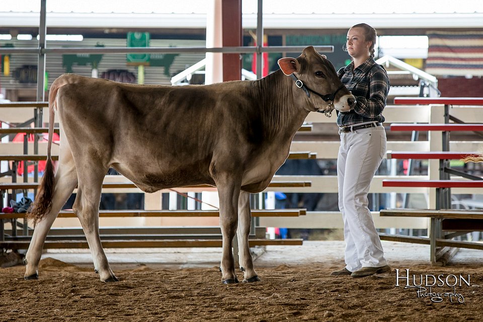 LCFAIR-081518-3002.jpg