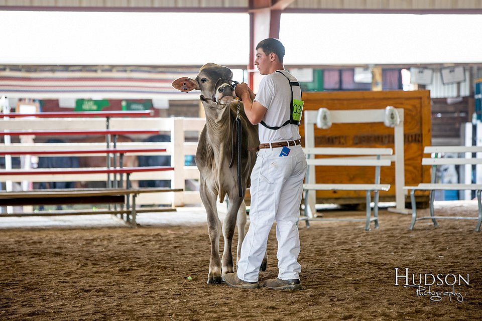LCFAIR-081518-3006.jpg