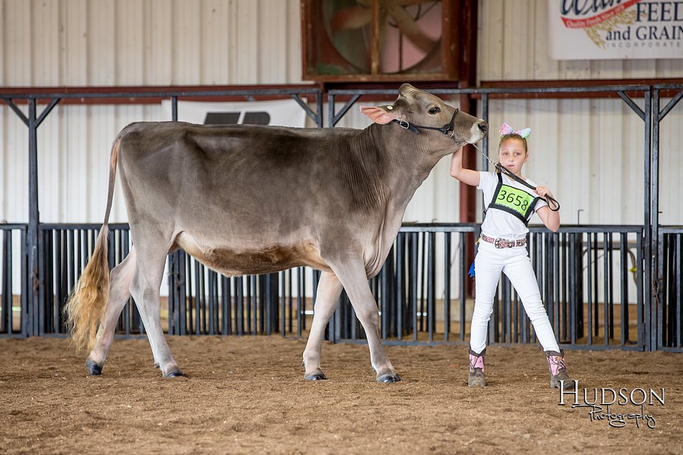 LCFAIR-081518-3038.jpg