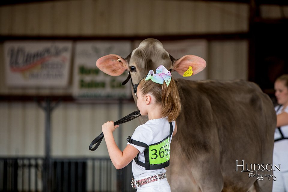 LCFAIR-081518-3045.jpg
