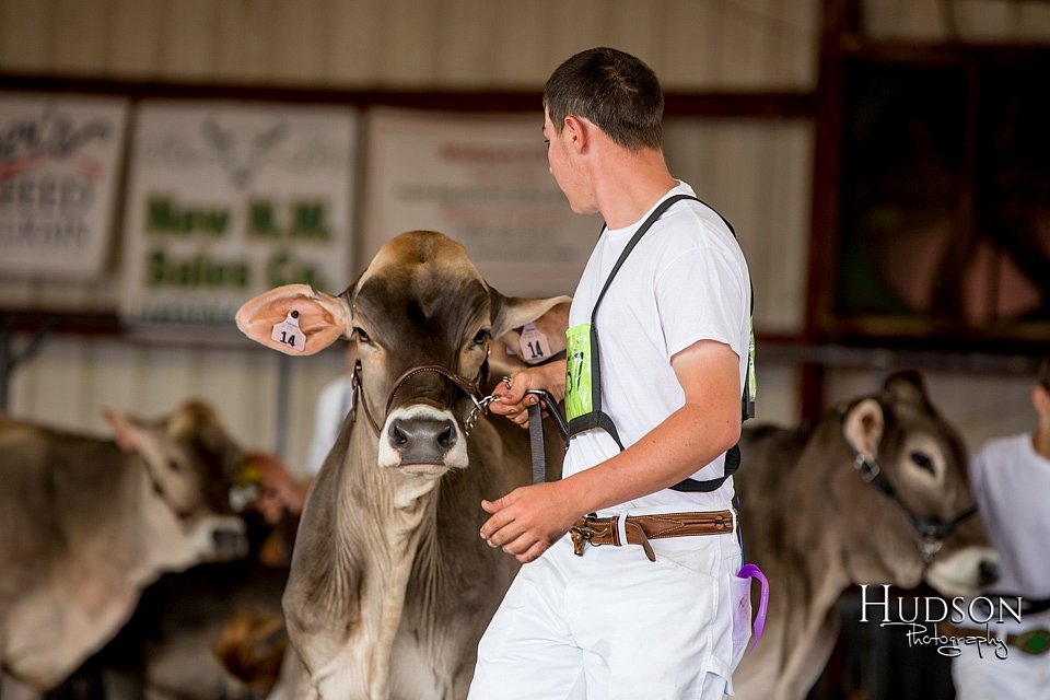 LCFAIR-081518-3080.jpg