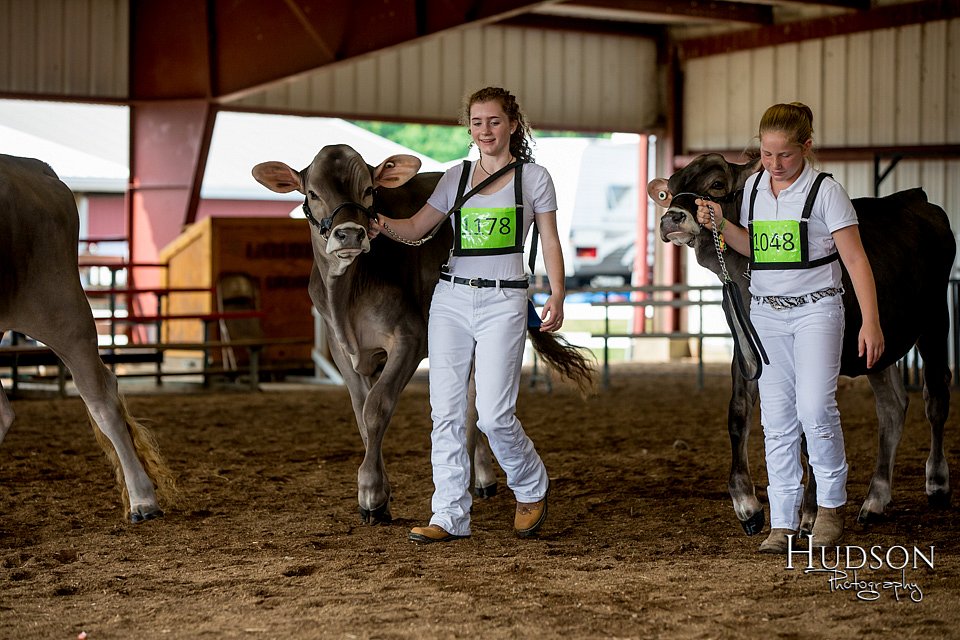 LCFAIR-081518-3084.jpg