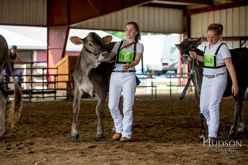 LCFAIR-081518-3085.jpg