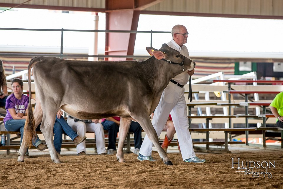 LCFAIR-081518-3087.jpg