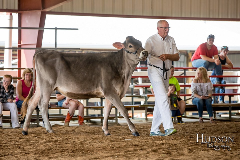 LCFAIR-081518-3088.jpg