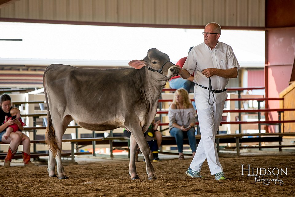 LCFAIR-081518-3089.jpg