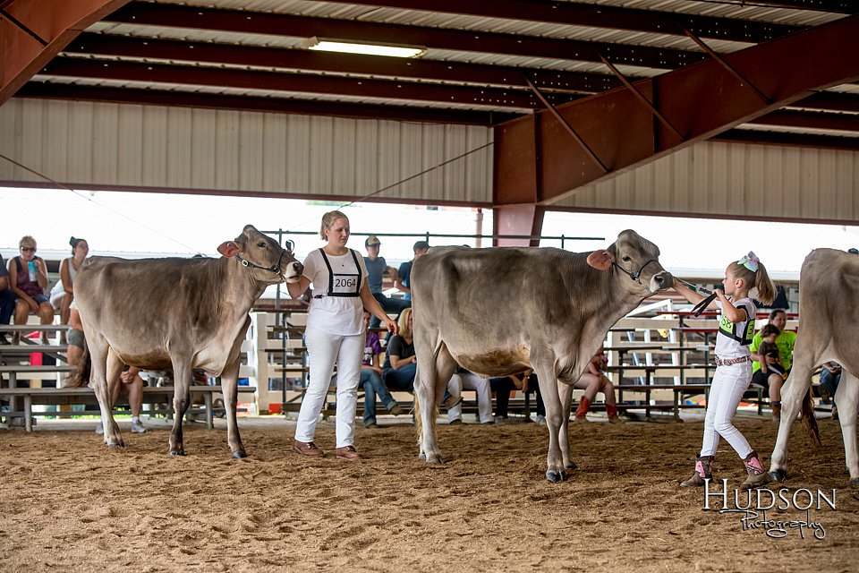LCFAIR-081518-3091.jpg