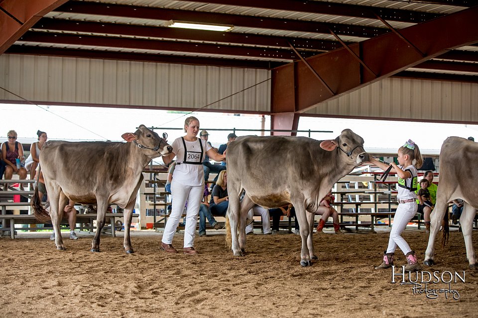 LCFAIR-081518-3092.jpg
