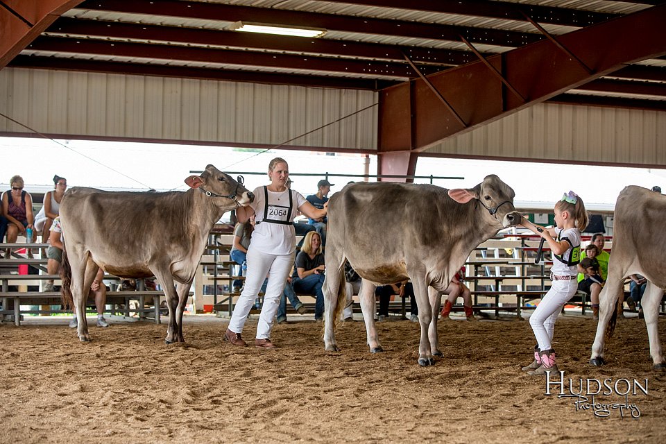 LCFAIR-081518-3093.jpg