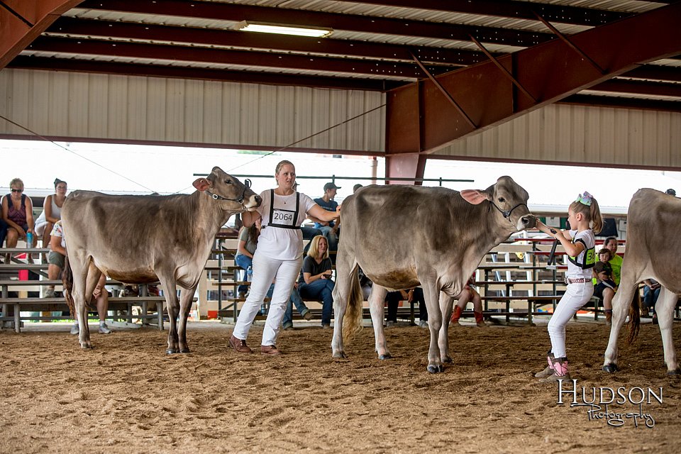 LCFAIR-081518-3094.jpg