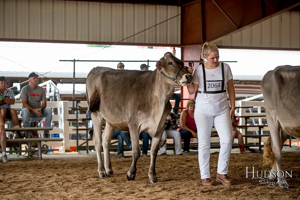 LCFAIR-081518-3095.jpg