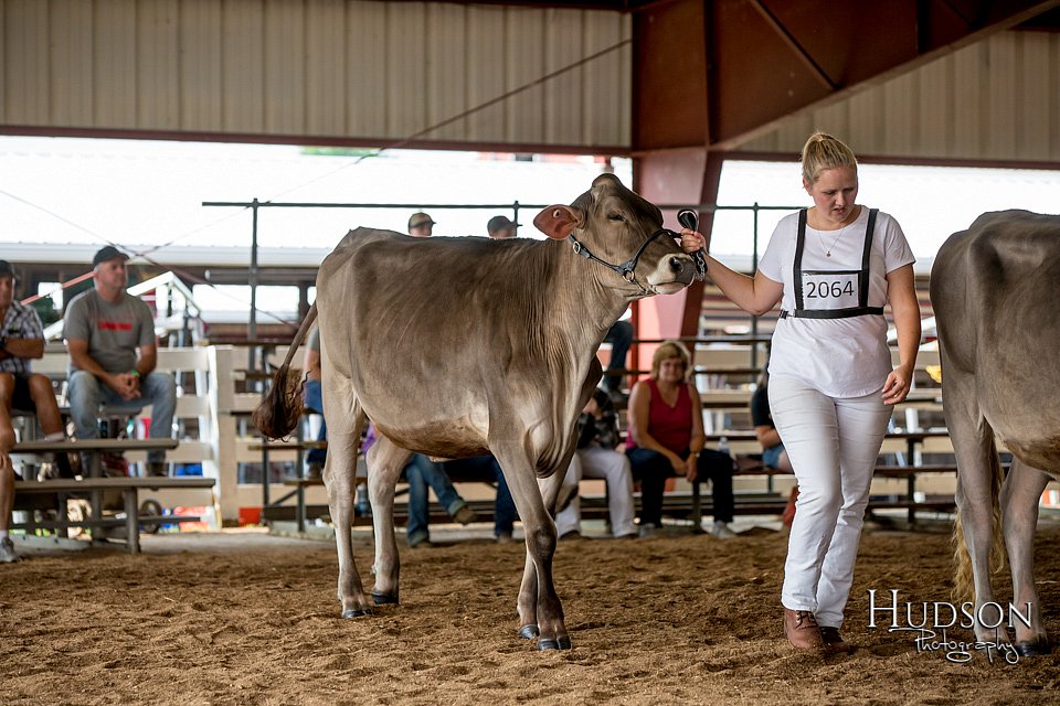 LCFAIR-081518-3097.jpg