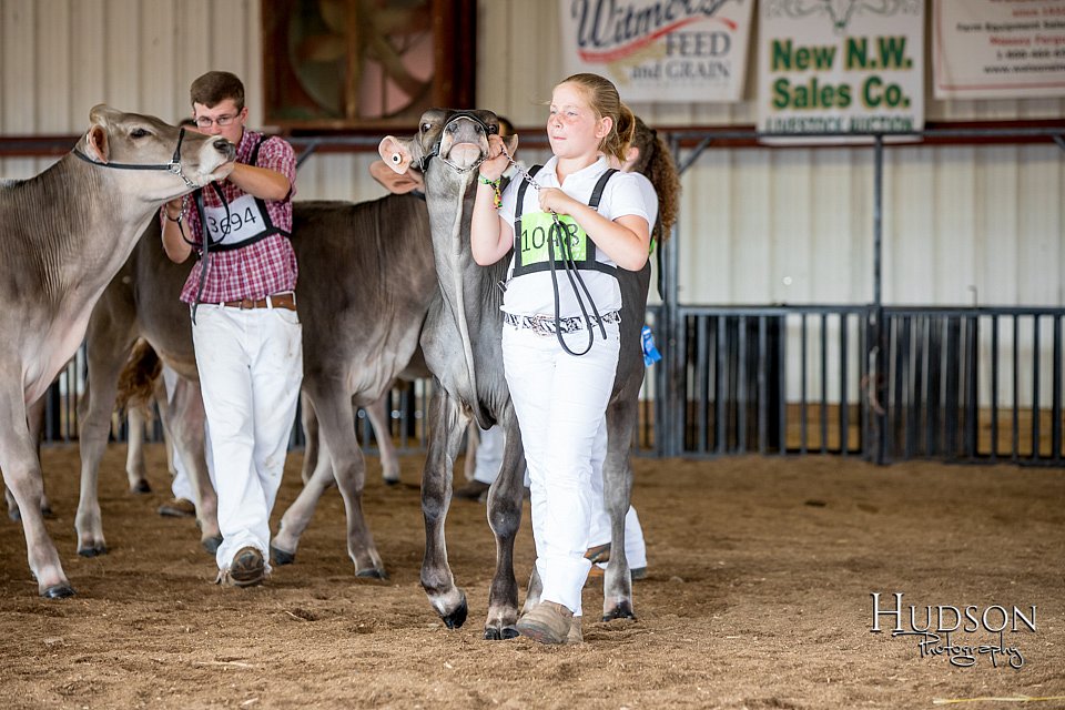 LCFAIR-081518-3100.jpg