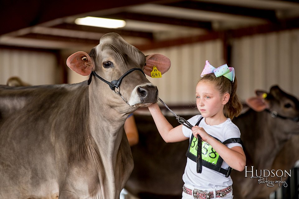 LCFAIR-081518-3104.jpg