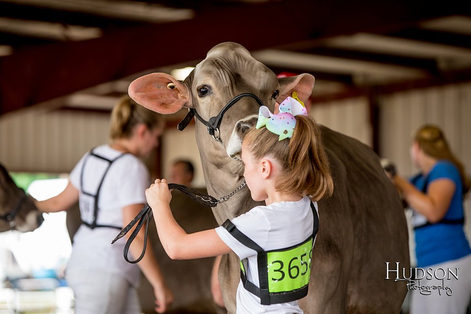 LCFAIR-081518-3107.jpg