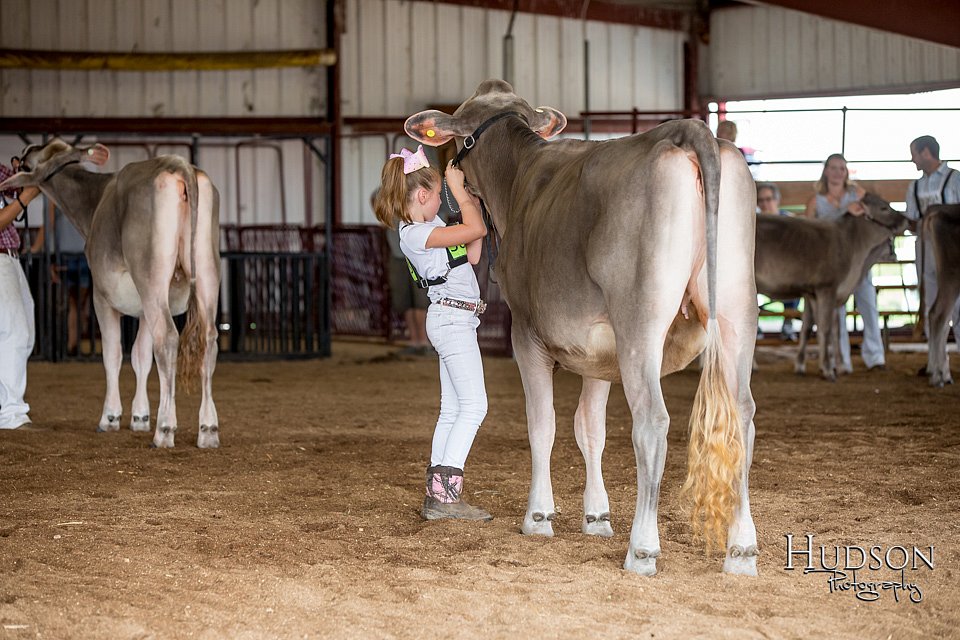 LCFAIR-081518-3109.jpg