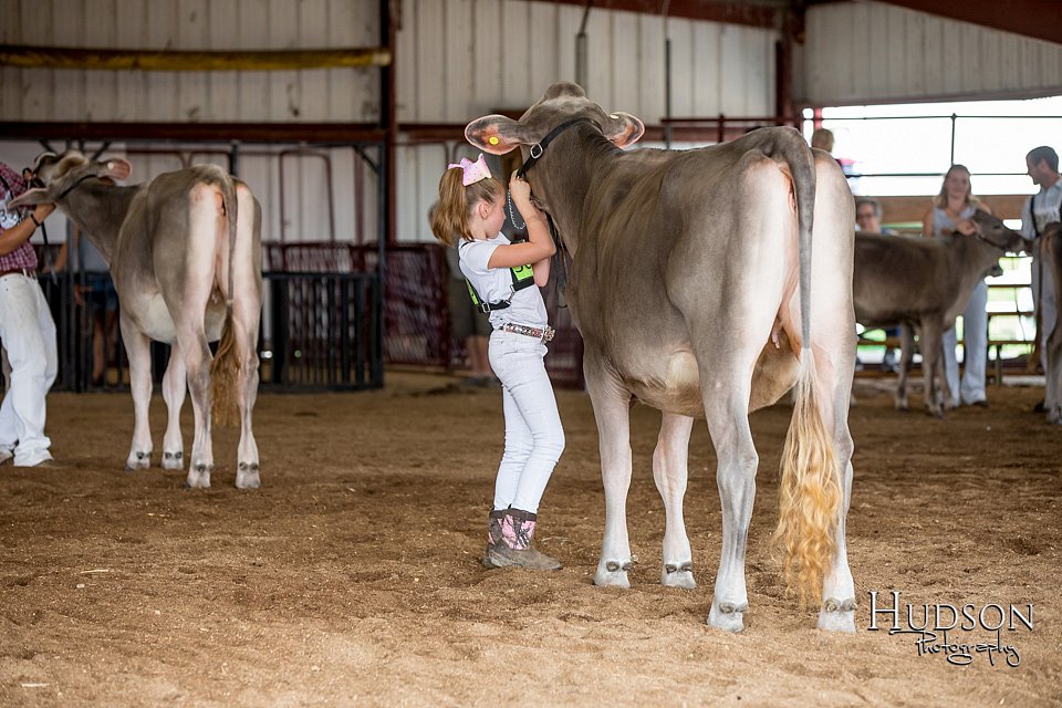 LCFAIR-081518-3111.jpg